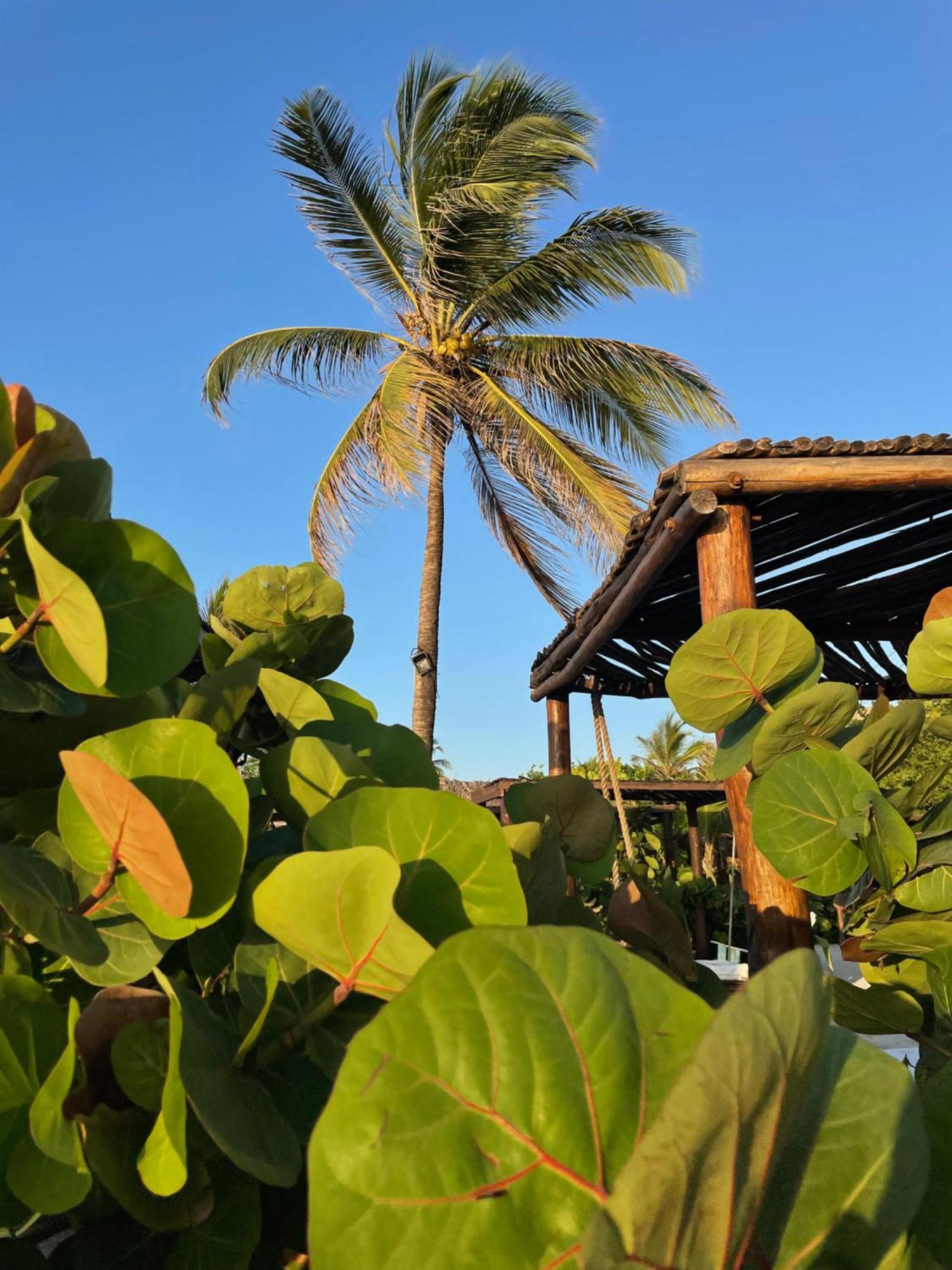 Namaste Beach Club & Hotel Playa de Punta Arena 외부 사진